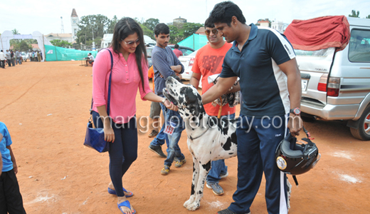 Dog show in Mangalore